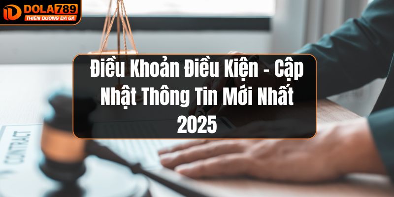 điều khoản điều kiện mới nhất
