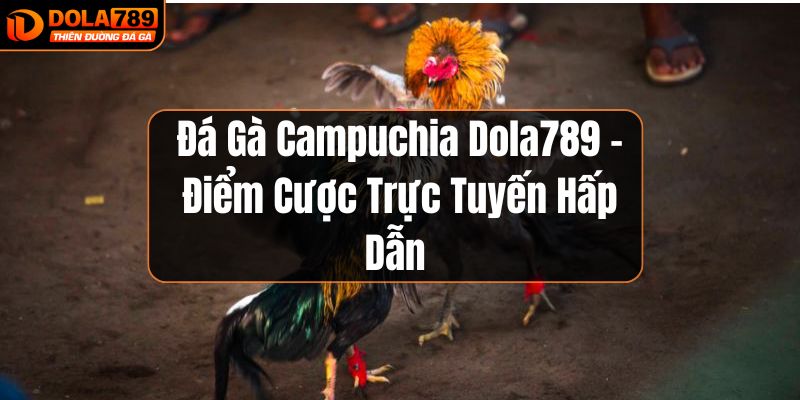 đá gà campuchia dola789