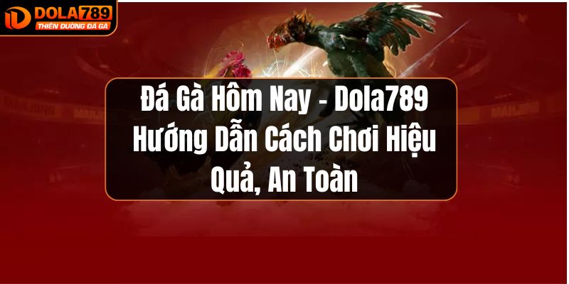 đá gà hôm nay dola789