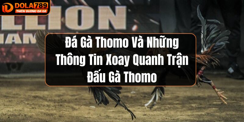 Thông tin về Đá gà Thomo