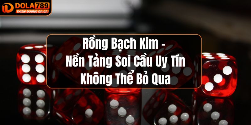 Rồng bạch kim nền tảng soi cầu