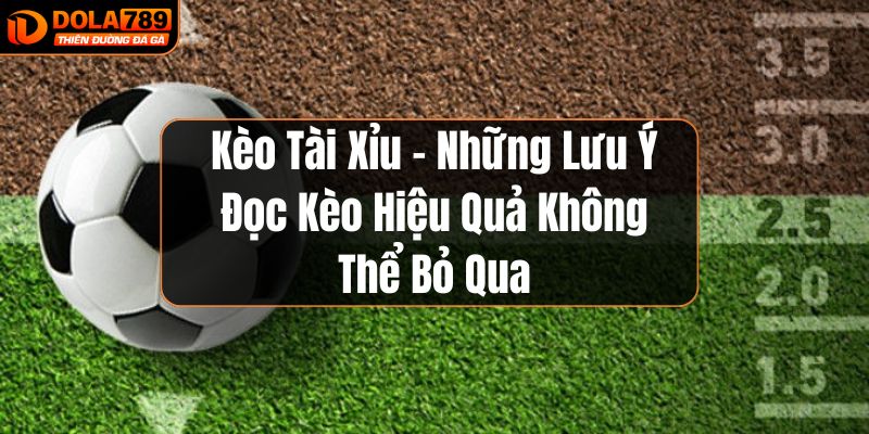 Kèo tài xỉu tại Dola789